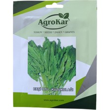 Agrokar Kuzukulağı (Ekşi Otu) Tohumu 1 gr