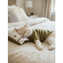 Teddy Forest Chic Polar Sweat ve Yastık Takımı – Kediler Için Uyku By Kemique