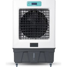 Kabel Salon Plus Maestro