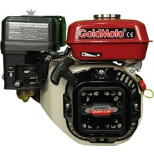 Goldmoto 6.5 Hp Ipli Gokart Benzinli Motor GM200G