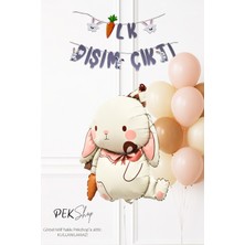 Pekshop Diş Buğdayı Parti Süsleme Seti Havuçlu Tavşan Balonlu Bannerlı Set 259