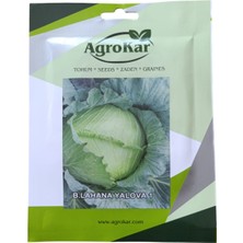 Agrokar Beyaz Lahana (Kelem) Tohumu 10 gr