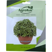 Agrokar Top Fesleğen Tohumu 1 gr