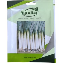 Agrokar Pırasa Tohumu 10 gr