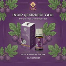 Panlife İncir Çekirdeği Yağı 10 ml Soğuk Sıkım %100 Saf & Doğal – Cilt ve Saç Bakım Yağı