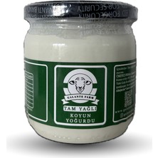 Galante Farm Koyun Yoğurt (400 Gr)