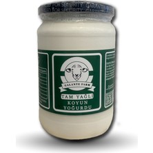 Galante Farm Koyun Yoğurt (700GR)