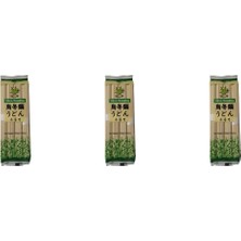 Smart Pigeon Udon Noodle Erişte 300 G x 3 Adet – Japon Usulü Kalın Buğday Noodle