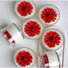 Minaşk Candle Sukün Doğal Soya Mum Cam/mum/papatya Kokulu