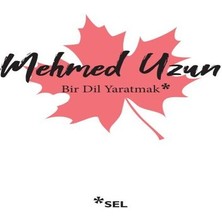 Bilfold Bir Dil Yaratmak