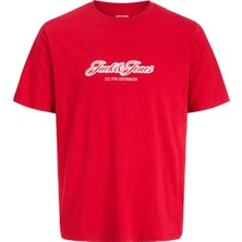 Jack & Jones Jorcatskills Çocuk Tişört
