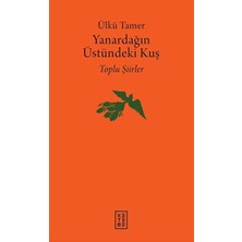 Bilfold Yanardağın Üstündeki Kuş