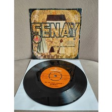 Plakperest Şenay  ‎– Hayat Bayram Olsa -  1973 Türkiye Basım 45 Lik Plak-2.el