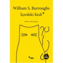 Bilfold Içerdeki Kedi