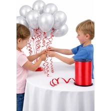 Erde 5 M x 8mm Parlak Metalik Şerit Rafya | Balon Ipi | Plastik Balon Süsleme Kurdelesi