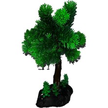 Akvaryum Bitki Dekor