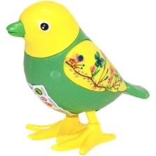 Urfakent URT005-07 Kurmalıgiller Kuş