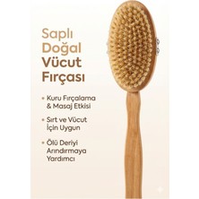 Urfakent Saplı Doğal Vücut Fırçası – Sırt Için Uzun Saplı, Kuru Fırçalama ve Masaj Etkili