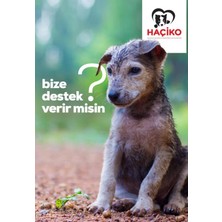 Haçiko Derneği Mama Destek Kartı