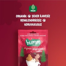 Urfakent Organik Zencefilli ve Tarçınlı Vegan Kurabiye 55 gr
