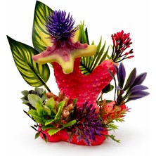 Akvaryum Dekor Bitkili Mercan