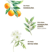 Urfakent Kolonya Pet Şişe Sprey 150 ml Bodrum Man Ası