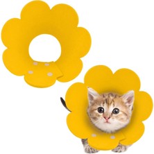 Urfakent Evcil Hayvan S Boy Keçe Elizabeth Yakalığı