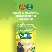 Urfakent Humm Organik Muzlu Glutensiz Vegan Mini Küpler 30 gr