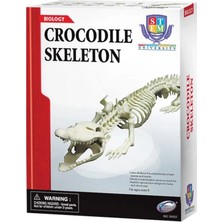 Urfakent Timsah Iskeleti Bilim Seti