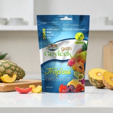 Geyicek Gıda Tropikal Kurutulmuş Meyveler (Ananas/ejder Meyvesi/kivi/papaya) 50 gr