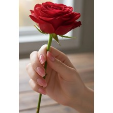 Caş Dekorasyon 10'lu Pembe Renk Jel Görünümlü Takma Tırnak Seti (Yapıştırıcılı)