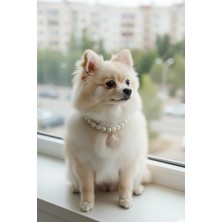 Caş Dekorasyon Beyaz Renk Istidirye Figürlü L Beden Incili Kedi Köpek Tasması