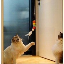 Elastik Kendinden Yapışkanlı Solucan Kedi Oltası