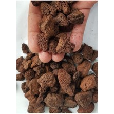 Pomza Taşı 10-15 mm 10 Lt Volkanik Ponza Lav Taşı Kaktüs Sukulent Pomzası Tarım Pomzası