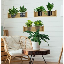 Urfakent Raflı Bitki Tasarımlı Yapışkanlı Sticker 20*30 cm 3lü Set MC-663