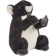 Urfakent 0785 Gri Renk Koala