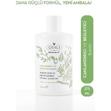 Botanics Canlandırıcı & Besleyici Bakım - 10 Bitki Özü ve Biotin Içeren Bitkisel Şampuan