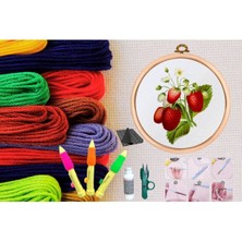 Urfakent Punch Seti Nakış Seti Kasnaklı Kendin Yap Seti Seri 8