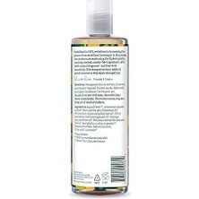 In Nature %99 Doğal Pürüzsüzleştirici Şampuan Normal & Kuruya Dönük Saçlar Için (Jojoba, 400 Ml)