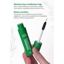 Natural Biberiye Yağı Kaş Kirpik Bakım Serumu Besleyici ve Güçlendirici 10 ml