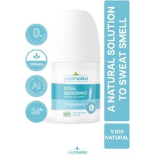 Natural Deodorant - Orange