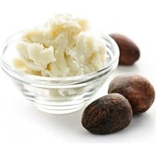 Shea Butter (Karite) Yağı 100 ml Soğuk SIKIM%100 Saf ve Doğal Güneş Sonrası Nemlendirici Yağ (Shea Butter)