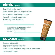 2'li Vegan Tuzsuz Şampuan & Saç Bakım Maskesi 250ML, Hyaluronik Asit, Keratin, Kolajen ve Biotin Içerikli Besleyici, Onarıcı 2'li Saç Bakım Seti