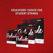 J1011 4/4m Prelude A Çello Teli (La)