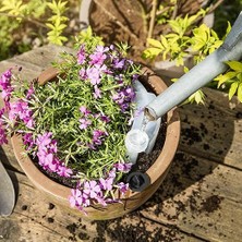 Plantpal Otomatik, Su Sebili Sulama Yardımcısı, Sulama Sistemi, 550 Ml, 5 x 13,5 x 24 Cm, 07063, Şeffaf