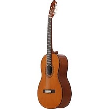 C40 Klasik Gitar