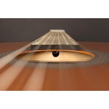 Klasik Gitar AC100DXOP