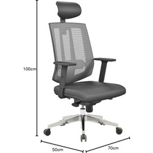 Ofis Tiffany Bel Destekli Müdür Koltuğu - Antrasit