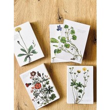 Tanıtım Özel Tasarım Baskılı Kapaklı A5 Çizgili Not Defteri - 180 Derece Açılabilir, Sırtı DIKIŞLI,%100 El Işçiliği, Ofis Için Ideal, Planlayıcı (Viola Hirta Kapak Tasarımı)