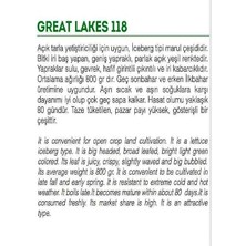 Tarım Doğal Göbek Marul Iceberg Great Lakes 1000 Adet Tohum